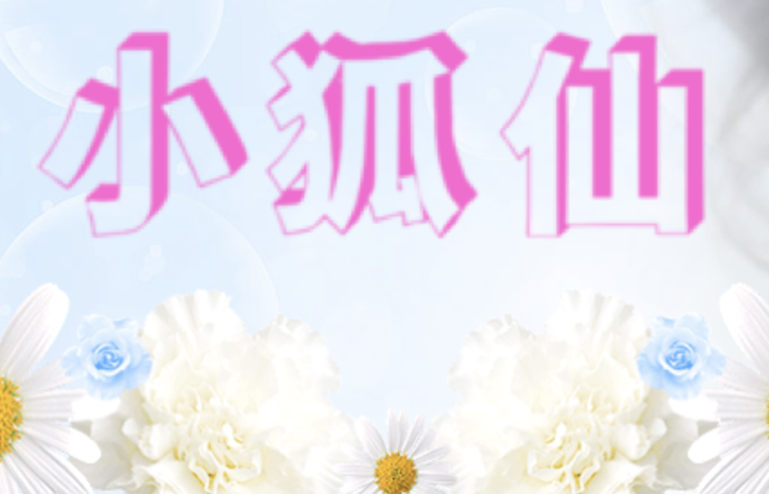 小狐仙店铺图片