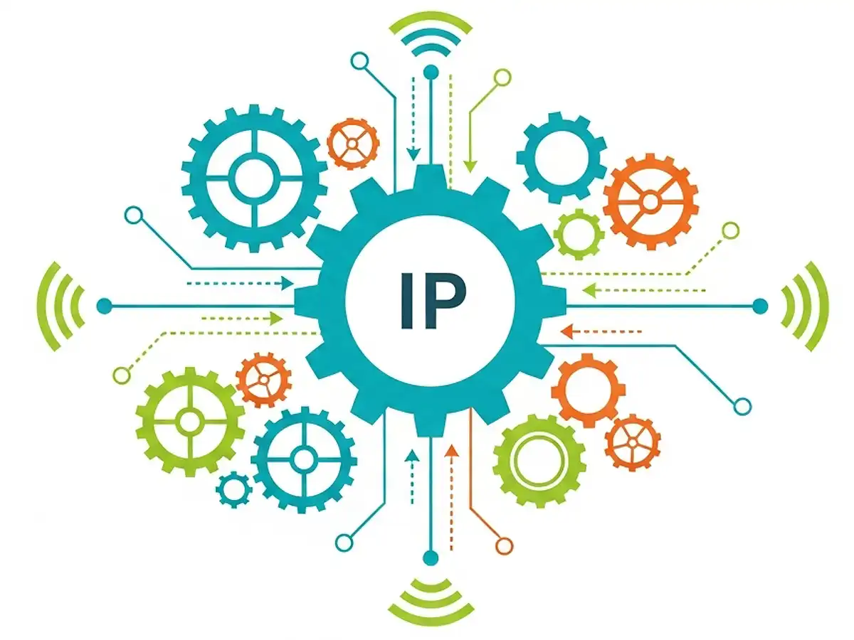 ip测试 留下你们的脚步